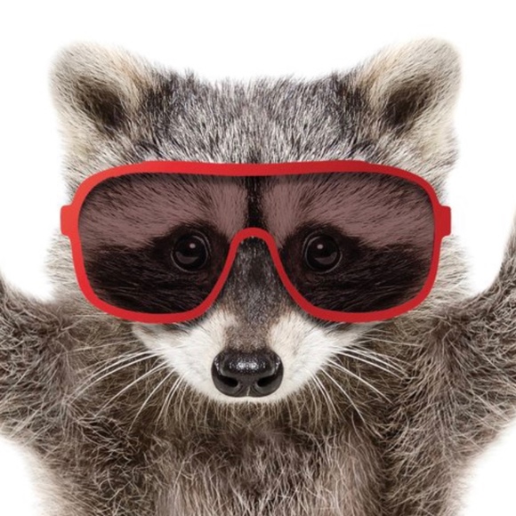 Meet your Posher, Teddy - Picture 1 of 1